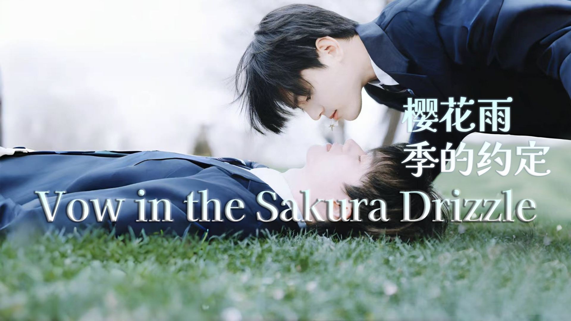 Vow in the Sakura Diizzle — Tralier